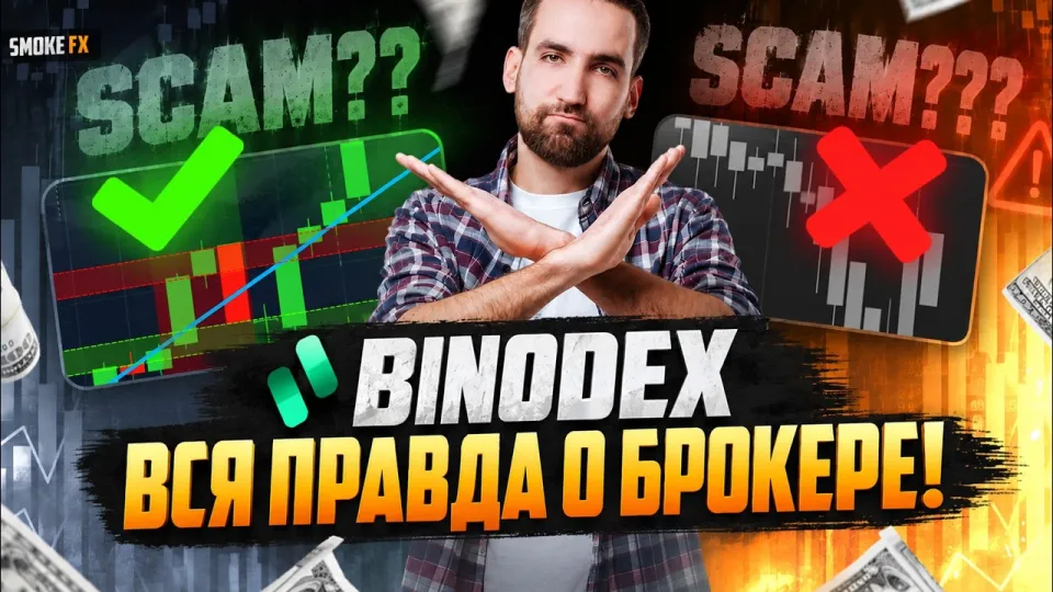 Трейдинг у брокера BINODEX как лучший выбор для новичков и почему он подходит для старта